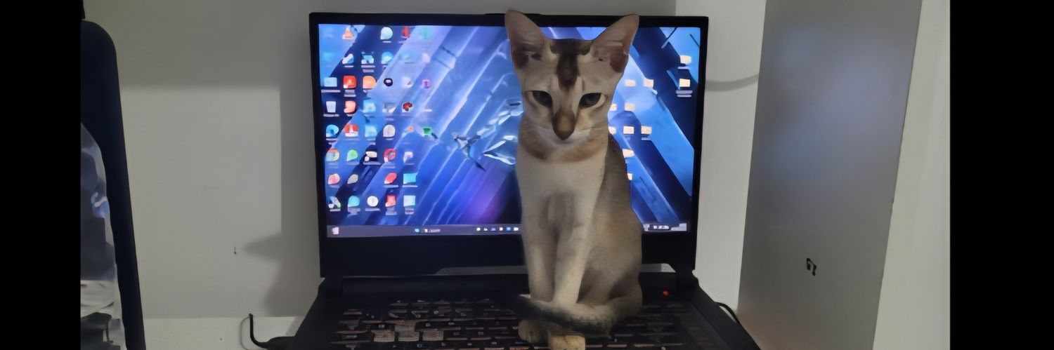 Noob human... banner