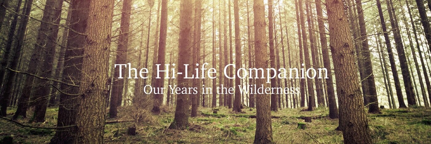 The HiLife Companion banner