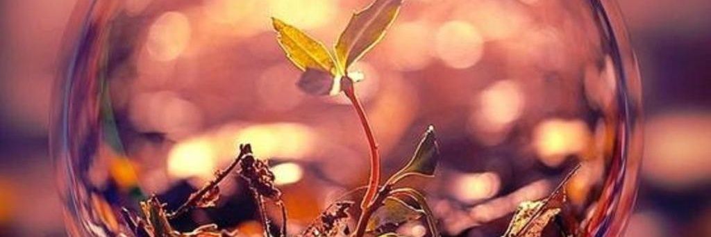 سحر مرادی sahar moradi l's banner