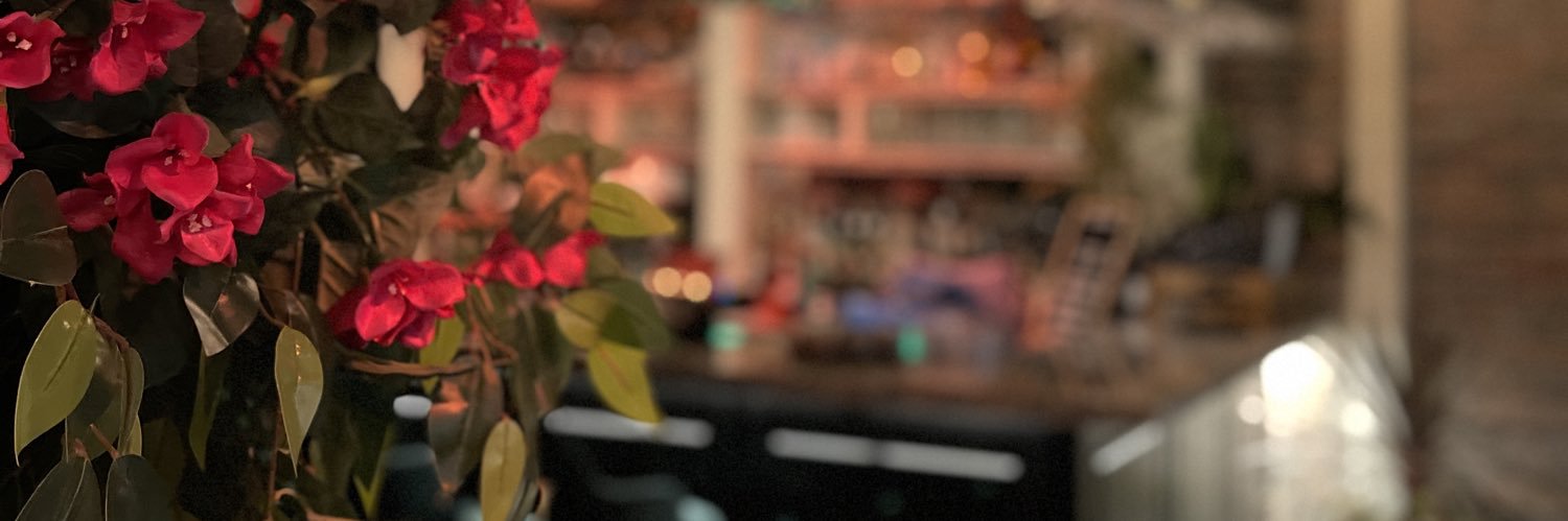 erikreveco's profile banner image