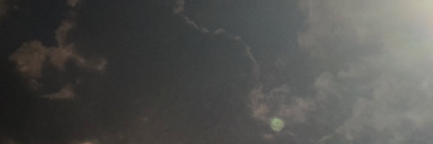 LingLuorr1's profile banner image