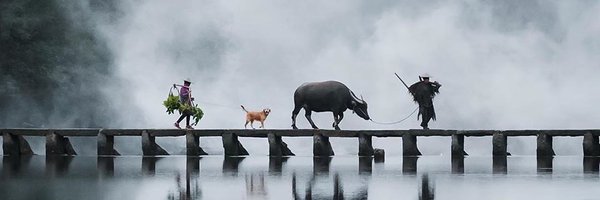 yoji0802 Profile Banner