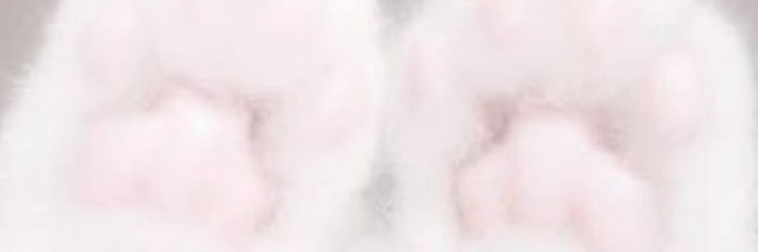 coc_qx's profile banner image