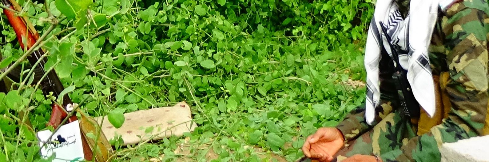 بركان 𝓑𝓞𝓡𝓚𝓐𝓝 banner