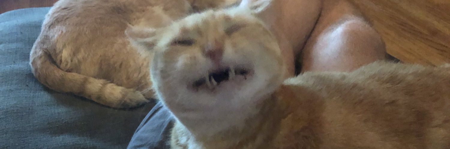 nixtamalized microplastics enjoyer banner
