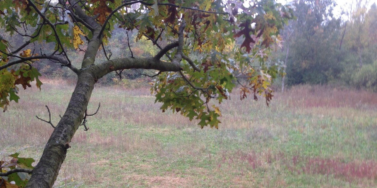 MSU_Hunters's profile banner image