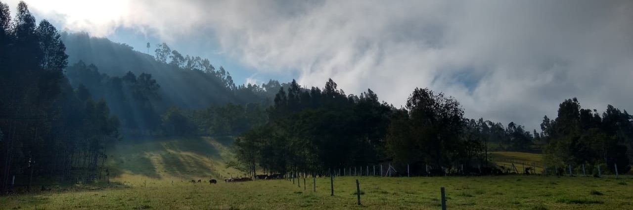 margaralaverde's profile banner image