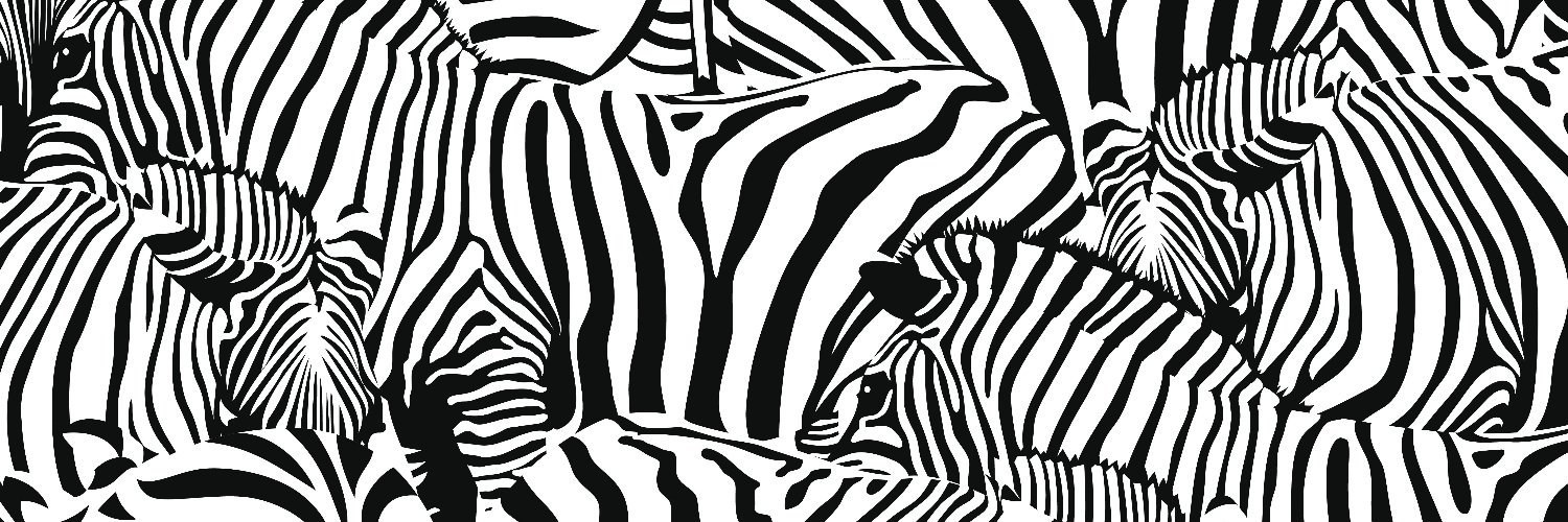 ACTEF Eivissa i Formentera banner