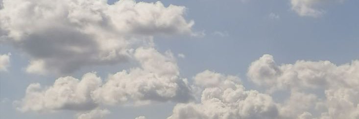 marnie's banner