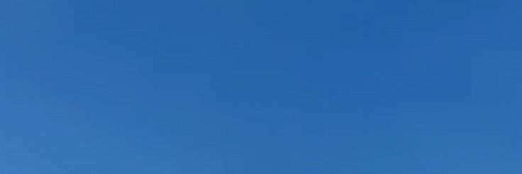 Al 🌸's banner