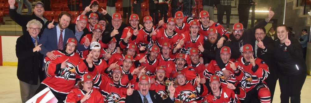 Mitchell Hawks banner