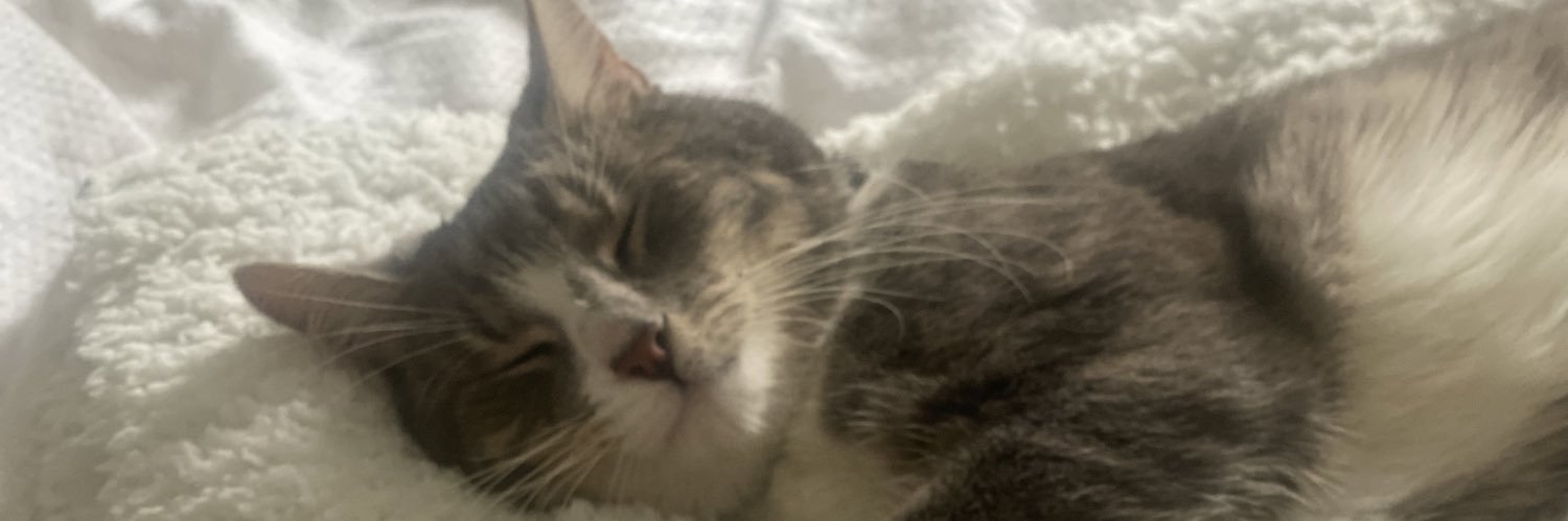 CharlieJayex's profile banner image