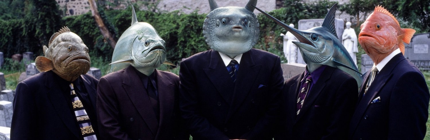 ozzyocak's profile banner image