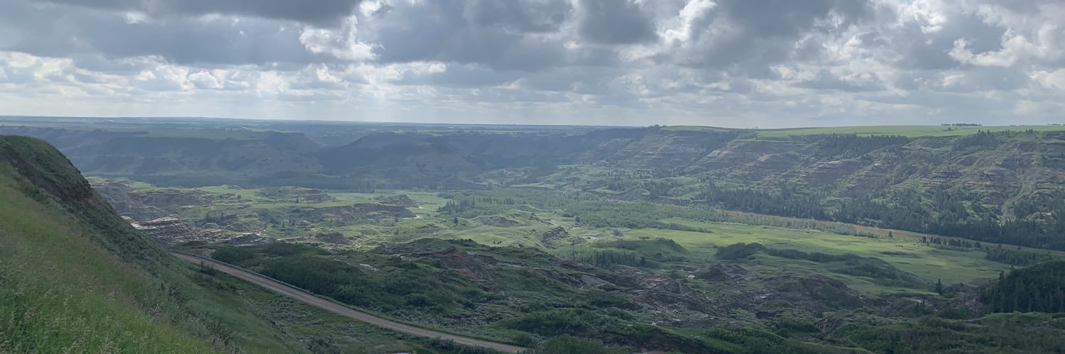 Wildrosebeef's profile banner image
