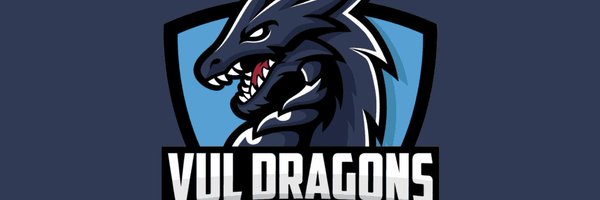 BHawk_12 Profile Banner