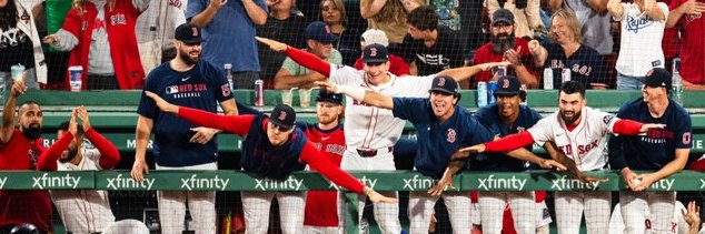 friend of birds banner