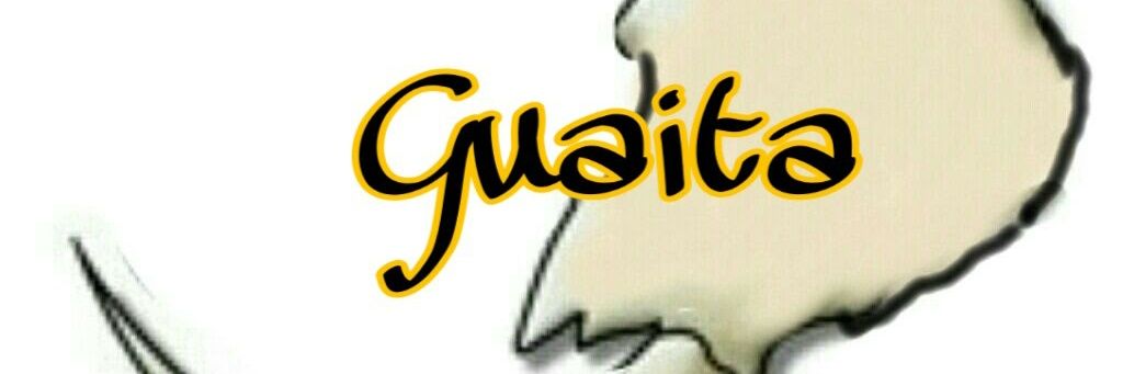 guaita1992's profile banner image