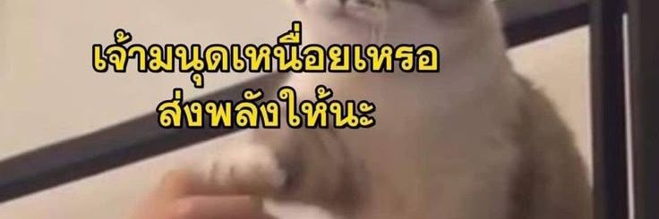 เล่นของสูง banner