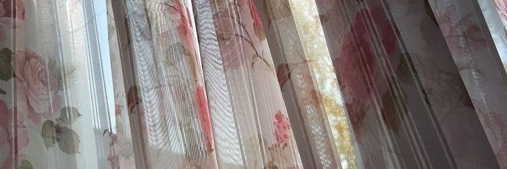 solifloris's profile banner image