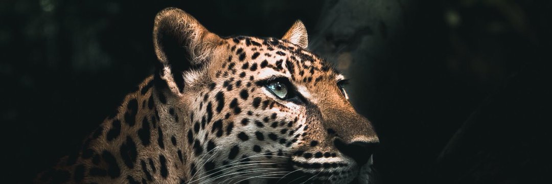 _tee_n's profile banner image