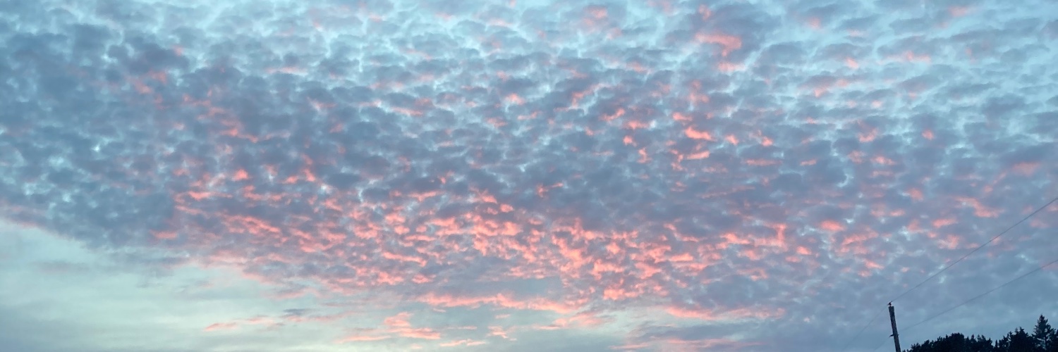 robbinsfoster's profile banner image