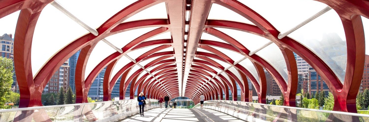 Emerging Health Leaders Calgary banner