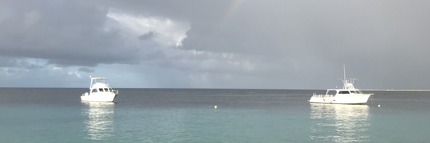 Kirstin banner