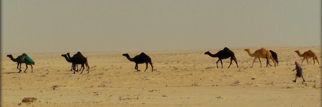 ابو قزيع ال الحاج🇶🇦 banner