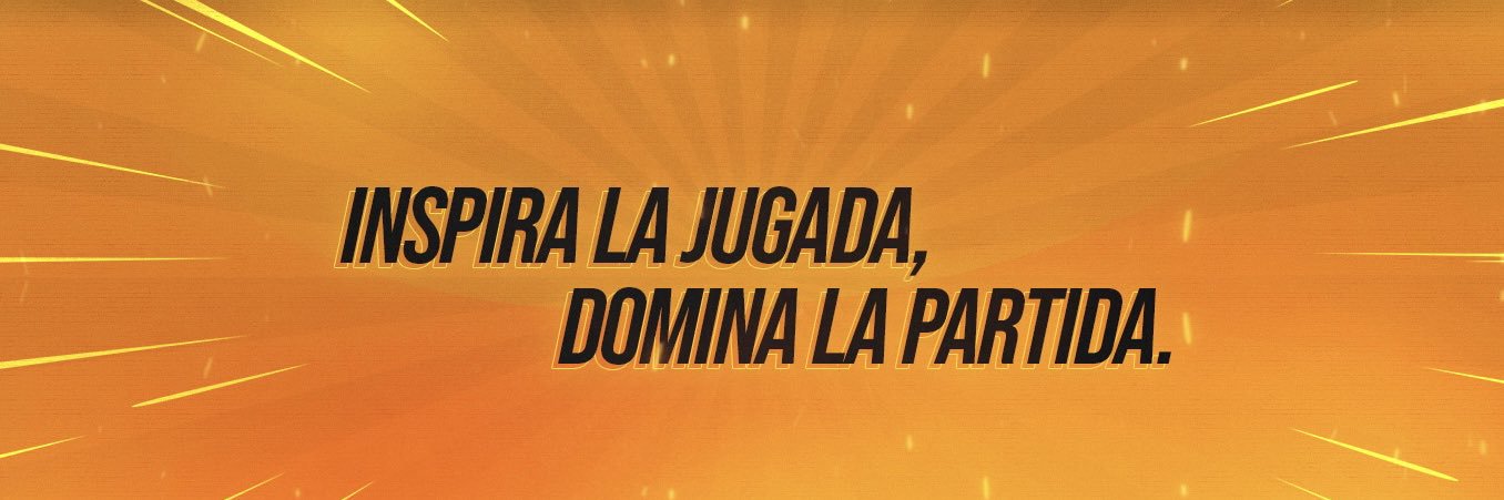 Copa Valkyrie banner