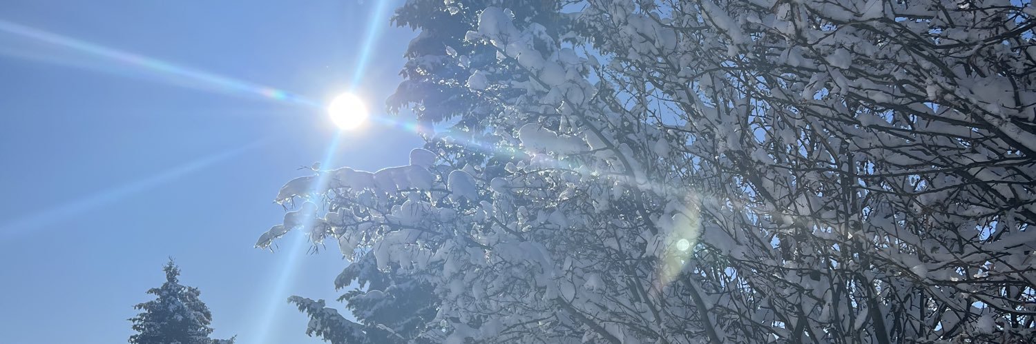 syrupandsnow🇨🇦🇺🇦 banner