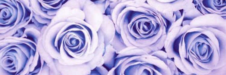 ellyybean's profile banner image