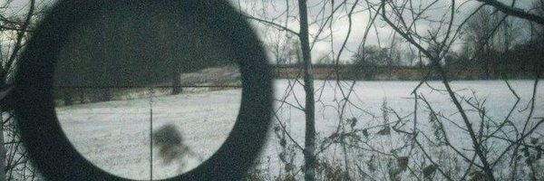 lovganer Profile Banner