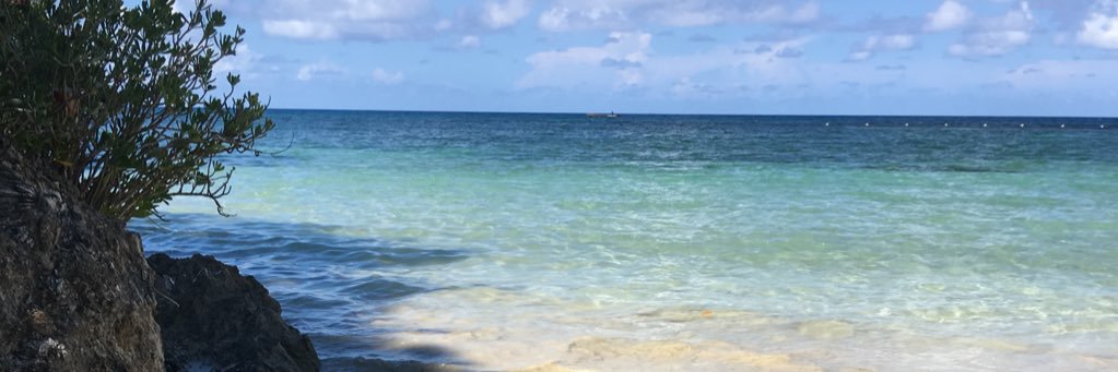 PUSSY GOOD CUSTOMER SERVICE banner