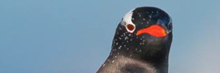 Jamie Shoesmith banner