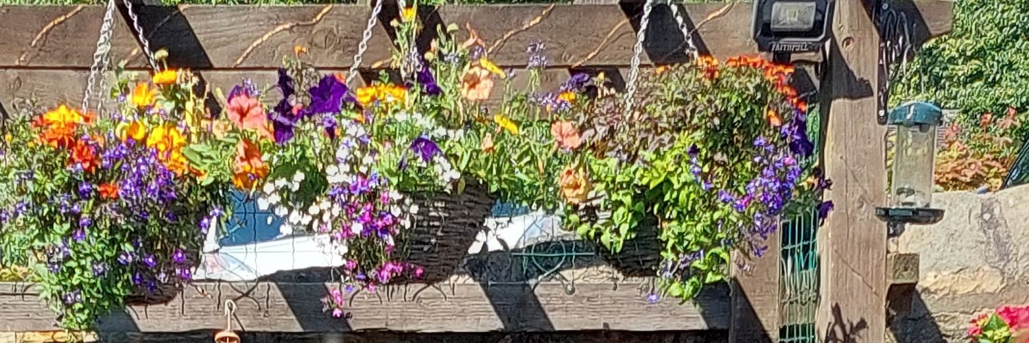 LindyLou🐈‍⬛ banner