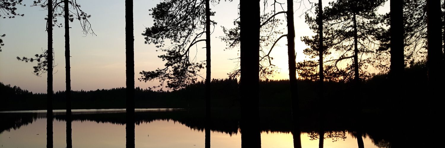 Tsyvä banner