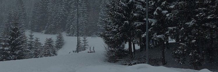 lhillk_'s profile banner image