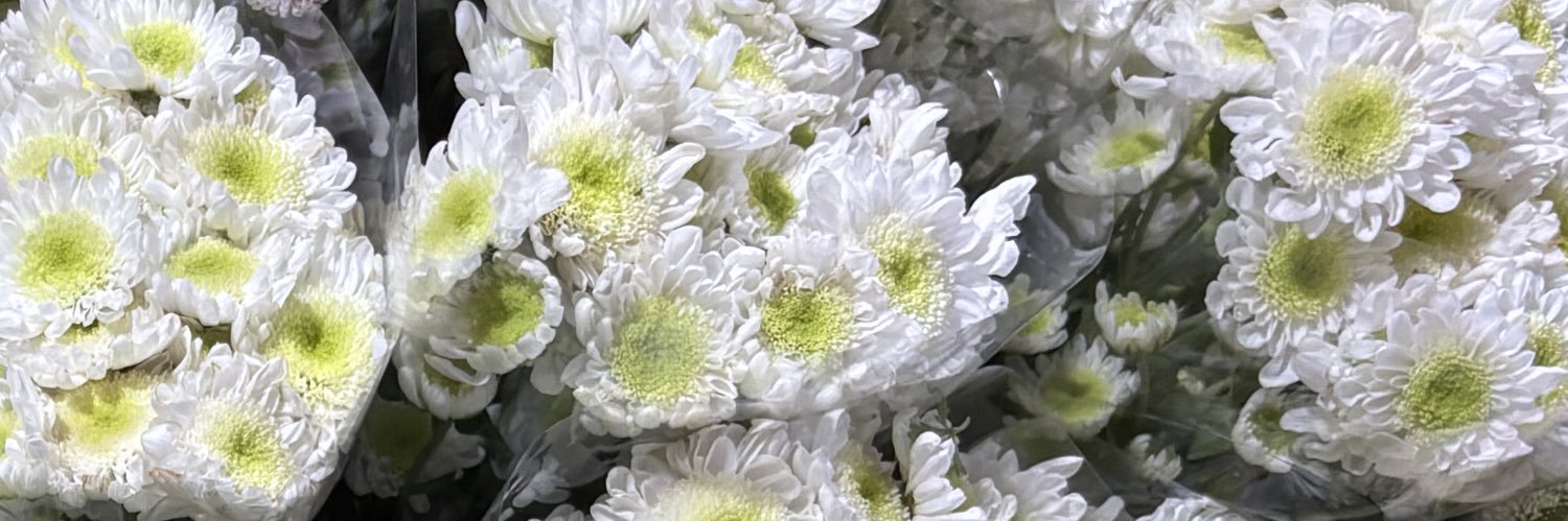 anin 🇵🇸 banner