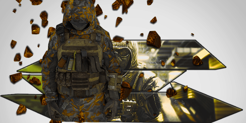 EvO_Priide banner