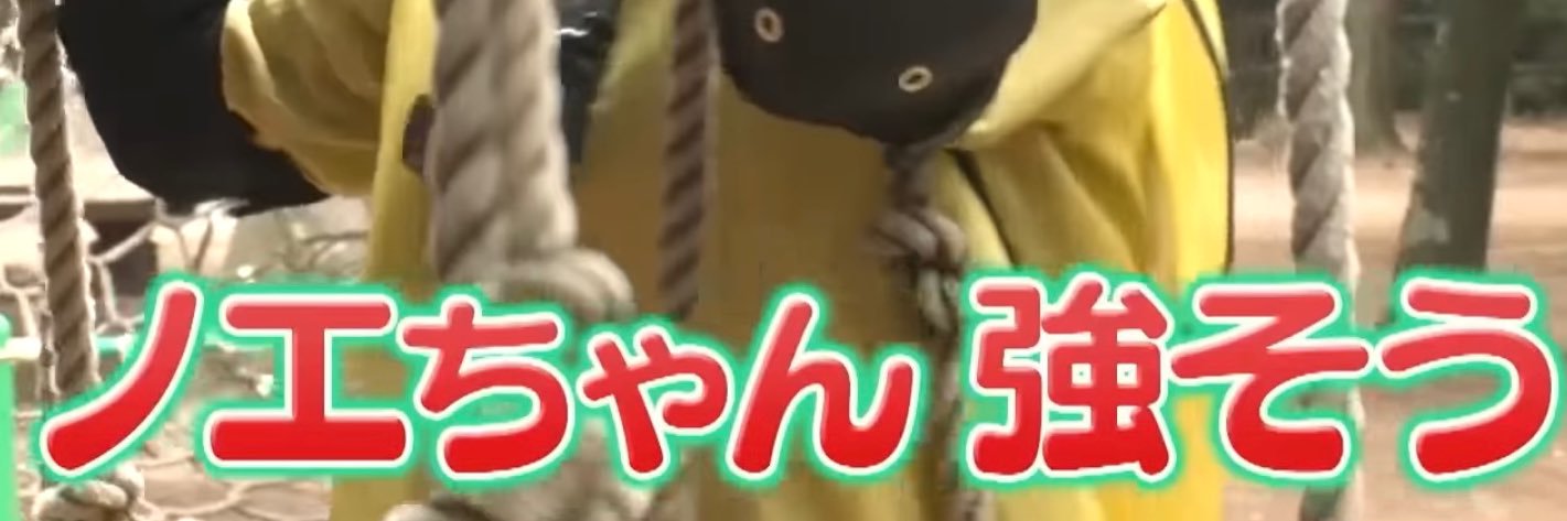 早瀬ノエ浪 banner