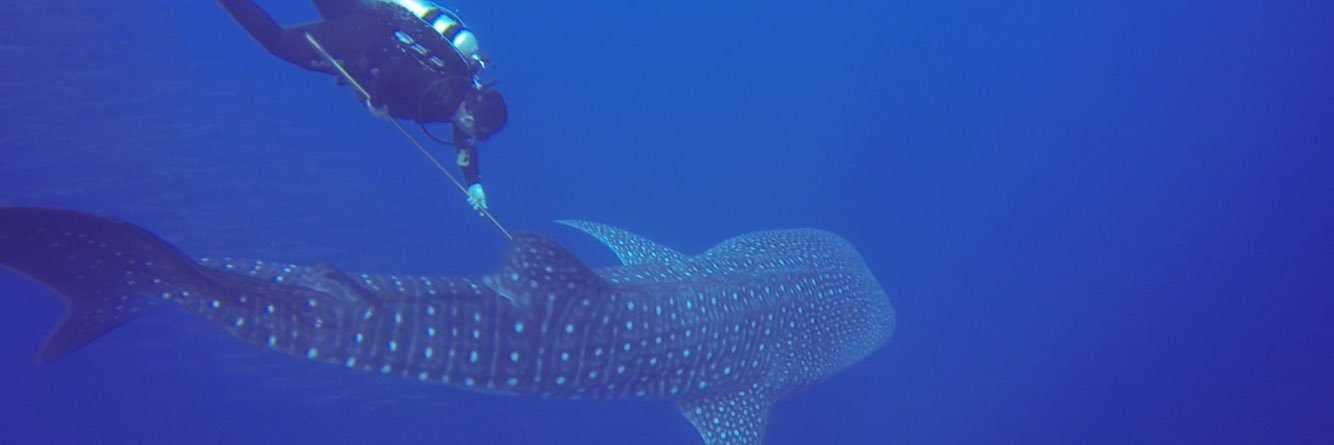 Jake Levenson banner