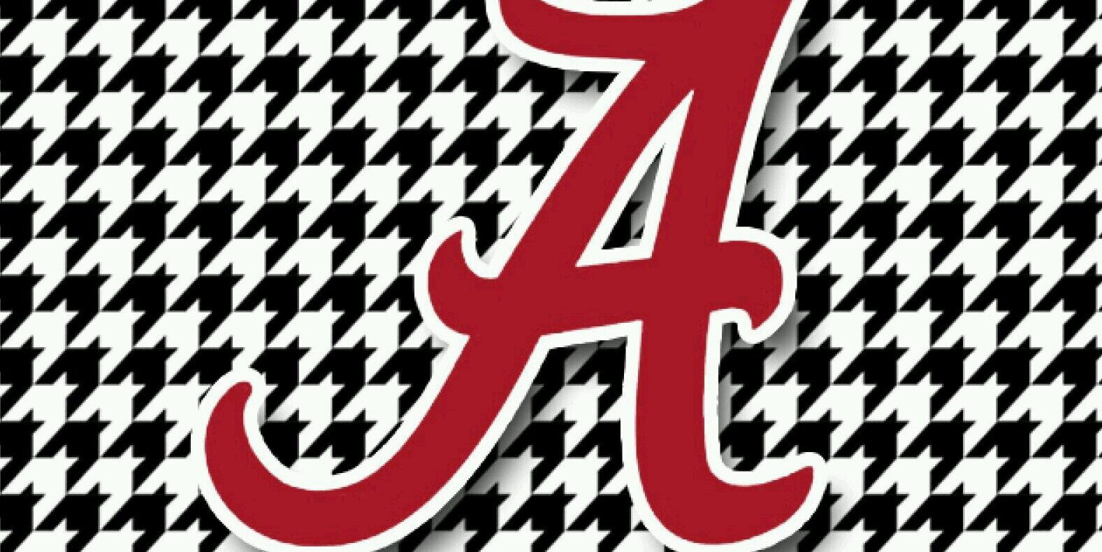 BamaGirlnSC banner