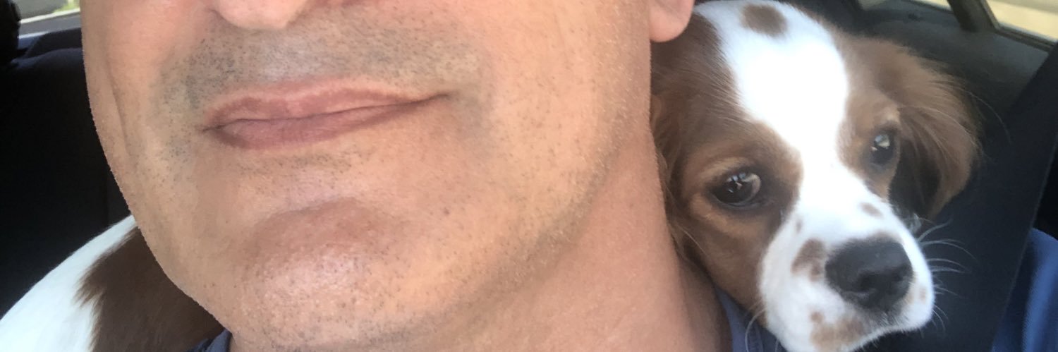 MSGuvenc's profile banner image