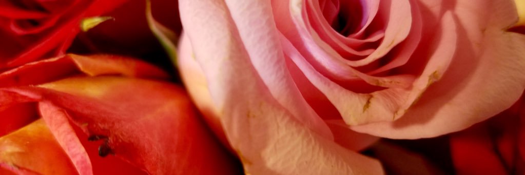 beeeeteeaychwhy's profile banner image