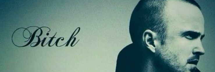 Bitch banner