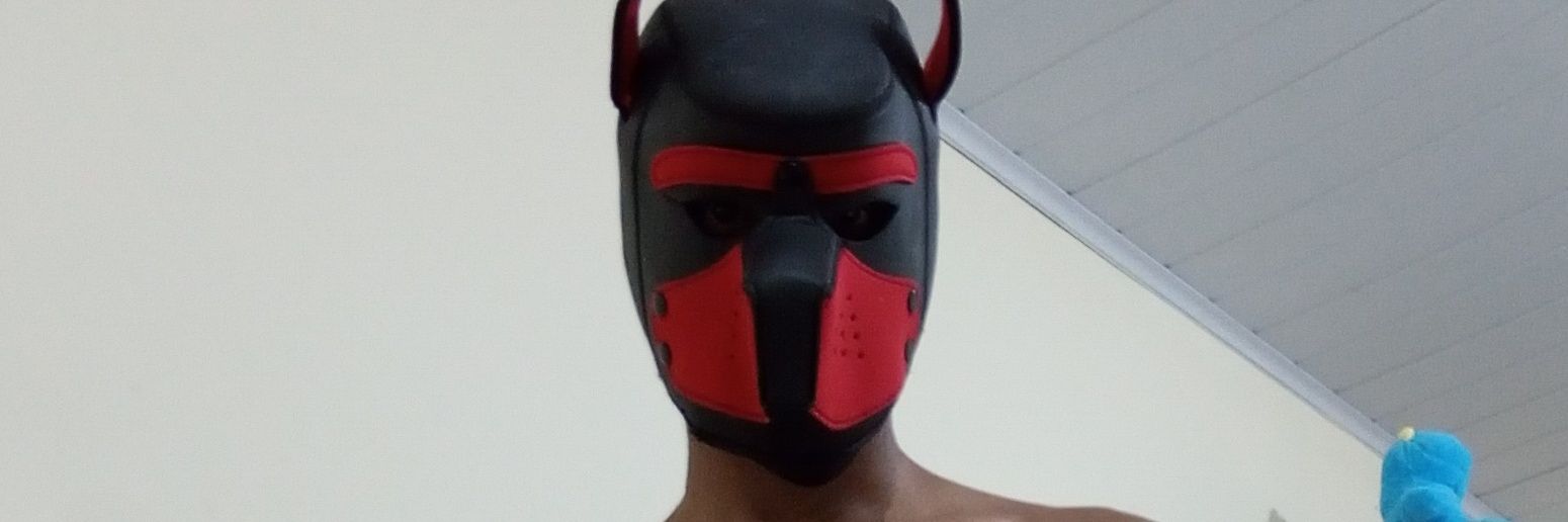 Dogão da Zo banner