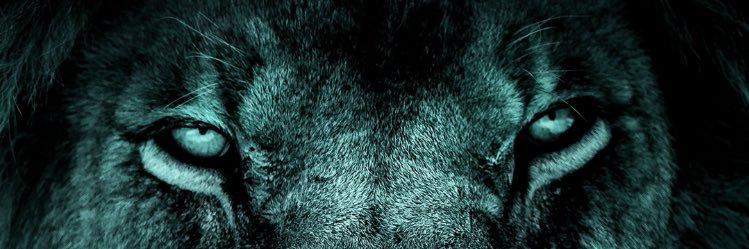 tujuanmulia's profile banner image