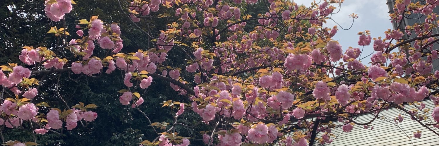 death_pooh's profile banner image