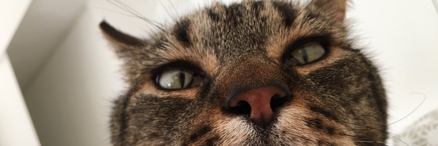 MainwaringAli's profile banner image