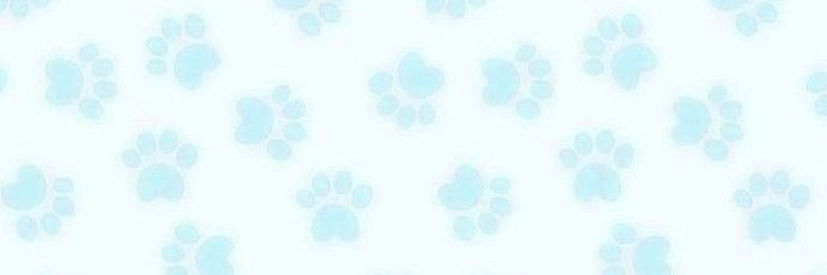 fran જ⁀♪ banner